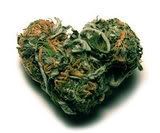 weed.jpg image by x_1code_pink7_x